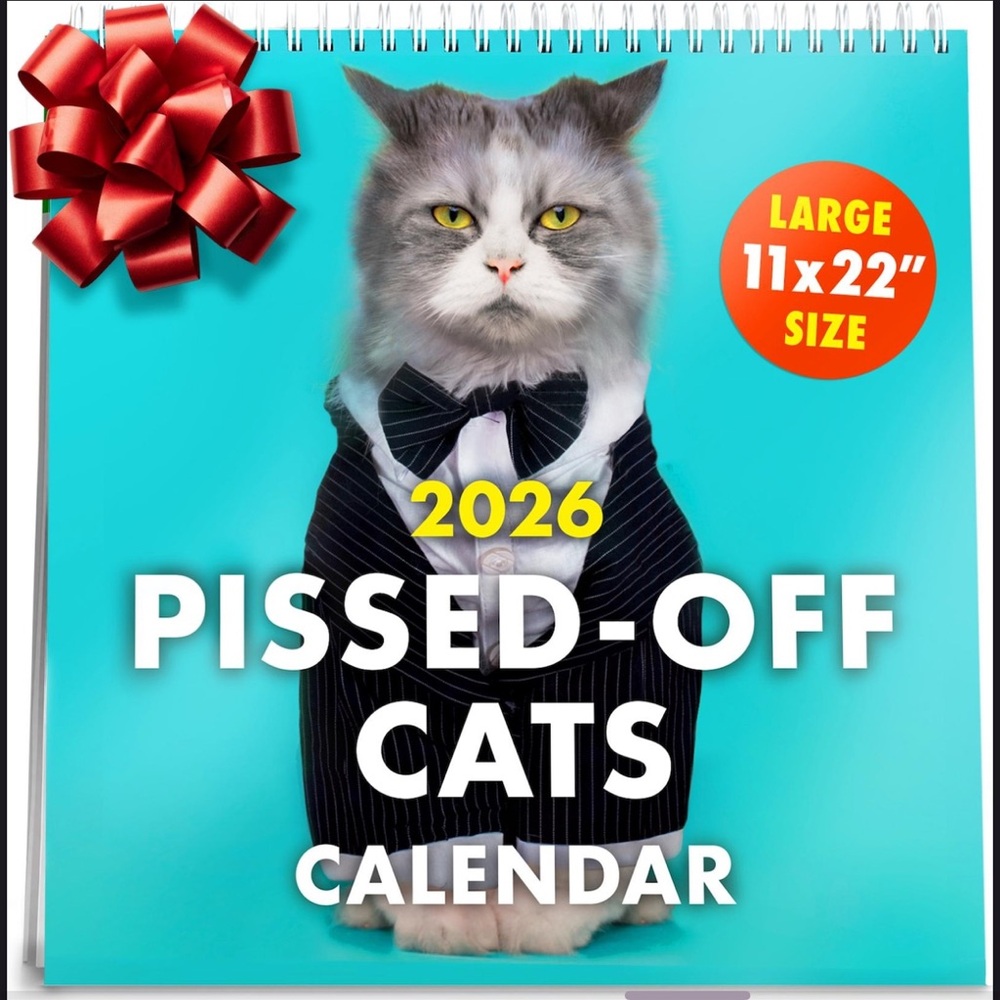 Pissed-Off Cats 2026 Calendar - Large 11x22 Size